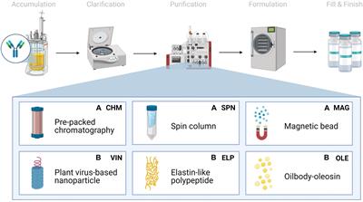 Evaluating the Cost of Pharmaceutical Purification for a Long-Duration <mark class="highlighted">Space Exploration</mark> Medical Foundry